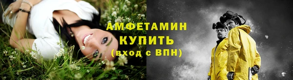 молекула духа Богородск