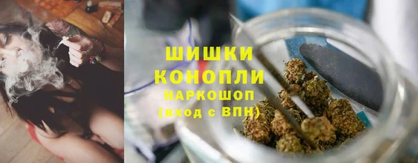 трава Богородицк