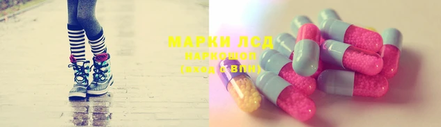 трава Богородицк