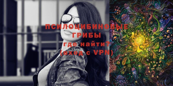 молекула духа Богородск