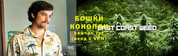 мескалин Богданович