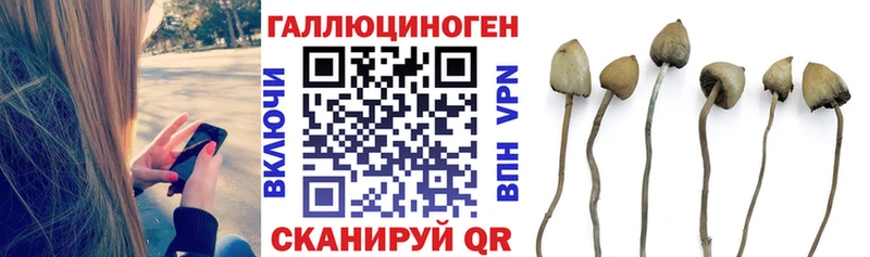 Галлюциногенные грибы мухоморы  Ялуторовск 